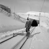 Tornehamn. Banvaktare på cykeldressin har med sig hunden på inspektionsrunda.
