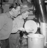 Statens Järnvägar, SJ Tåghem Lappland. Köksvagnen.