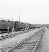 Statens Järnvägar, SJ tåghem gör uppehåll i Rättvik. På fotot syns åtta vagnar och ångloket.
Vagnarna från vänster är troligen. F7 55079 (fd BJ omb F7 1953) dusch och torkvagn, A04 2107?, A04 2071?, A02a/AC02a, C07 3066 sällskapsvagn, AB03 1962? restaurang, F7 kyl och förråd och någon personalvagn.
TT