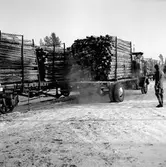 Lastning av timmer från lastbil till godsvagn med Puller timmerlastningsapparat, Glissjöberg.