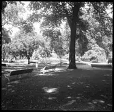 Östergötland. Norrköping. Järnvägsparken.