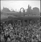 Anhöriga i väntan på ankomsten av de hemvändande flyktingarna. Köpenhamns frihamn.