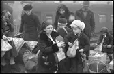 Flyktingar från Finland anländer i Haparanda hösten 1944.
