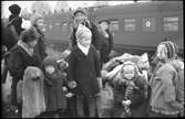 Flyktingar från Finland anländer i Haparanda hösten 1944.