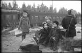 Flyktingar från Finland anländer i Haparanda hösten 1944.