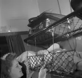 Barnkupé i 3-klass sittvagn, SJ Co8b.