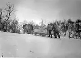 Hästtransport vid Björkliden.