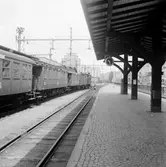 Perrongen på Helsingborgs färjestation. 
Statens Järnvägar,  SJ Ub, SJ F1, SJ C3c, SJ C02, någon av 1128-1130, samt SJ C3d med plåtklädsel syns på spåren. I bakgrunden syns en av de högresta silos som byggdes vid hamnen på 1930-talet, och till höger i bild syns den gamla saluhallen som låg väster om Sundstorget, den revs 1966.