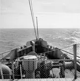 Krigsfångeutväxling i Trelleborg. En man står i fören och ser ut över havet.