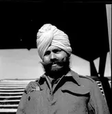 Krigsfångeutväxling i Trelleborg.