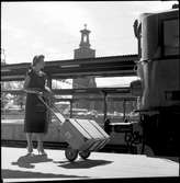 Transport av resväska på Centralstation. Stockholms stadshus i bakgrunden