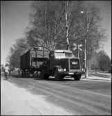 Vagnbjörn, Härnösand. Vägtransport av godsvagn