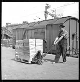 Pallastat gods på ledtruck