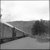 Sunlit Nights Land Cruises (SNLC) - tåget vid Abisko och Björkliden stationer.
Det så kallade Dollartåget med huvudsakligen amerikanska turister.