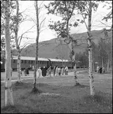 Sunlit Nights Land Cruises (SNLC) - tåget vid Abisko och Björkliden stationer.
Det så kallade Dollartåget med huvudsakligen amerikanska turister.