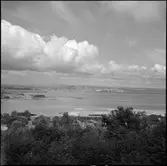 Vivstavarvs massafabrik. Brokranen hör till Östrands massafabrik.