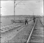 Arbete med träslipers, Gripenberg.