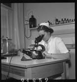 Läkarmottagning. Syster Birgit vid mikroskop.