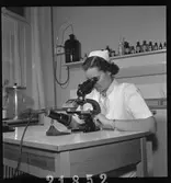 Läkarmottagning. Syster Birgit vid mikroskop.