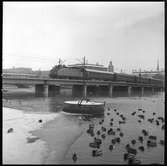 Statens Järnvägar SJ Ra-lok med personvagnar på Centralbron i Stockholm.