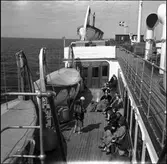 Tågfärjan Drottning Victoria,  däcksmotiv. Färjeläget i Sassnitz. Hjälpkryssaren Drottning Victoria var en svensk tågfärja tillhörande Statens Järnvägar. Drottning Victoria trafikerade normalt linjen Trelleborg – Sassnitz. Den medverkade som hjälpkryssare i svenska marinen under andra världskriget.   På bilden syns passagerarna som njuter i fulla drag på färjedäcket.