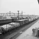 Olskroken. Bangården.