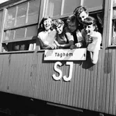 Statens Järnvägar, SJ Tåghem.
Exteriör av tåget, Lund, Ystad och Simrishamn stn.
(Blackebergs Lärov. tåghem)