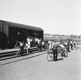 Statens Järnvägar, SJ Tåghem. Cyklarna urlastas för en studieutflykt.
(Blackebergs Lärov. tåghem)