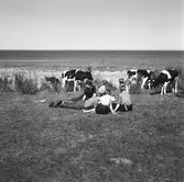 Läroverkselever vid Tjörnedala.
(Foto i samband med Blackebergs Lärov. tåghem)