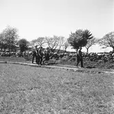 Läroverkselever vid Tjörnedala.
(Foto i samband med Blackebergs Lärov. tåghem)