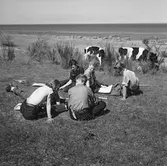 Läroverkselever på studieutflykt till Tjörnedala. (Foto i samband med Blackebergs Lärov. Tåghem)