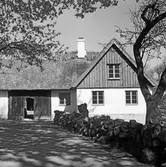 Landskapsmotiv vid Tjörnedala lund. (Foto i samband med Blackebergs Lärov. tåghem)