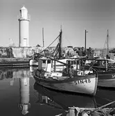 Skåne.
Motiv från Lund, Ystad, Simrishamn och Baskemölla.
(Foto i samband med Blackebergs Lärov. tåghem)