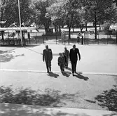 Modelljärnväg inviges på Skansen.
Kronprinsen