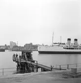 Tågfärjan Starke, Trelleborg F.