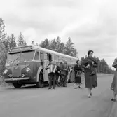 Nordkapsturen. Polcirkeln, vägen Rovaniemi - Ivalo.