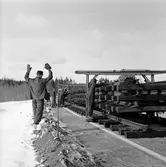Järnvägsbygge, Morjärv - Kalix.
(spårarbete, spårtransport)
