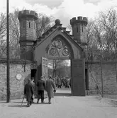 Kransnedläggning på Galärvarvskyrkogården, Stockholm.