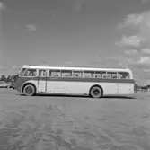 Statens Järnvägar, SJ 2174