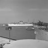 Färjeläget i Trelleborg - Sassnitz. Starke