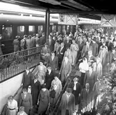 Lokaltrafiken vid Centralstationen