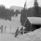 Skidåkare. Storlienterrängen, Skurdalsvolen,Tevldalen