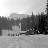 Storlienterrängen, slalomhytten Teveldal. Steinfjället i bakgrunden.