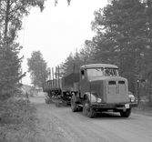 Transport av öppen godsvagn på vagnbjörn från Underås Cementgjuteri