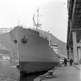 M/S Karesuando. Luossavaara-Kiirunavaara Aktiebolag, LKAB:s anläggning, malmkajen i Narvik