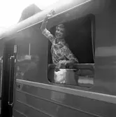 Statens Järnvägar, SJ. Mälardrottningen Eva Brisborg