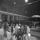 Invigning av konstverk i Centralstationen