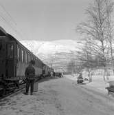 Tåg vid Abisko turiststation