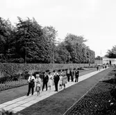 International Union of Railways (UIC) kongress - 1960
Margareta Paviljongen i Pildammsparken