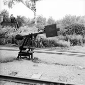 Blomsteranläggningar